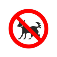Náhledový obrázek